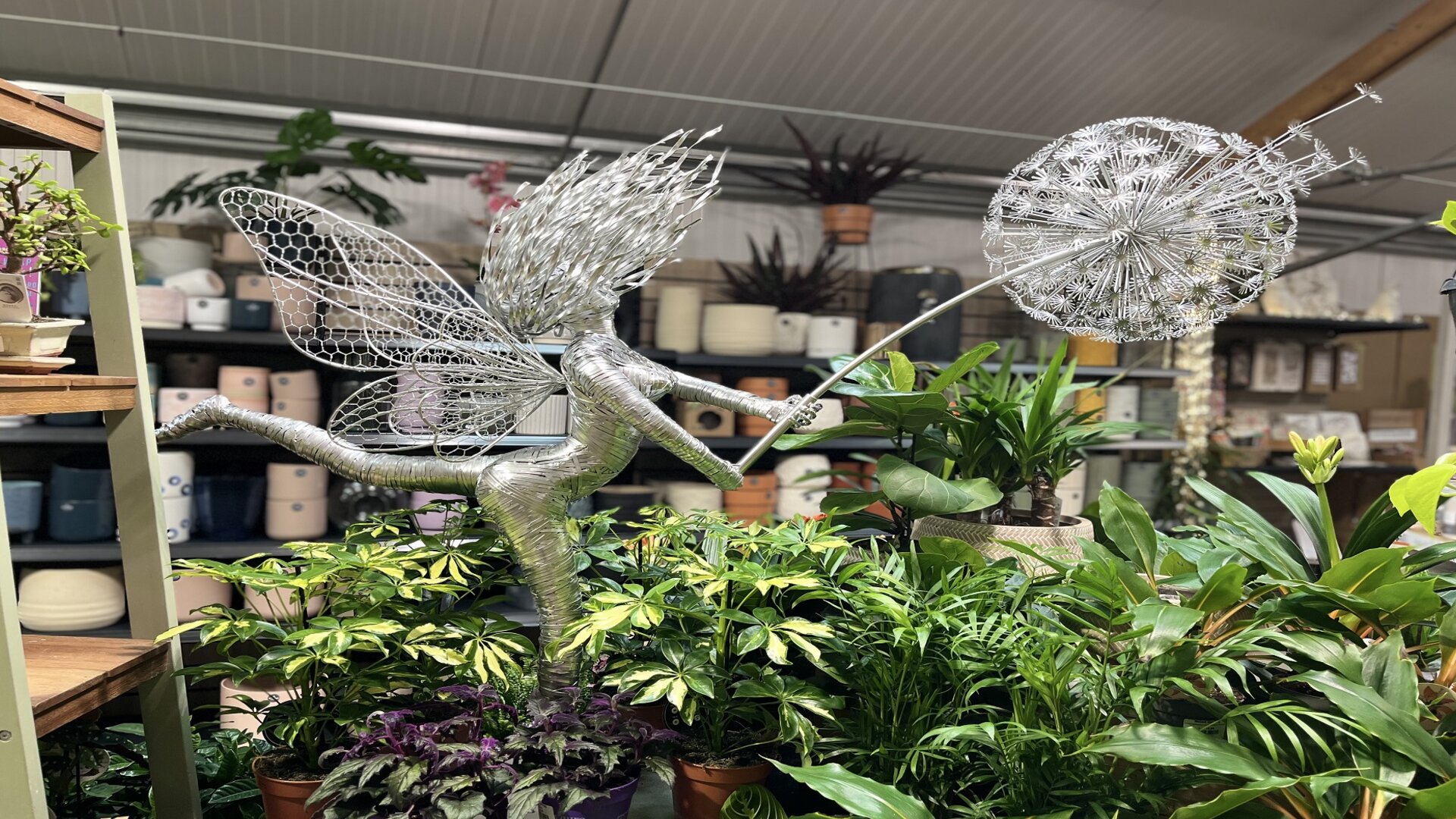 Exciting New Ranges