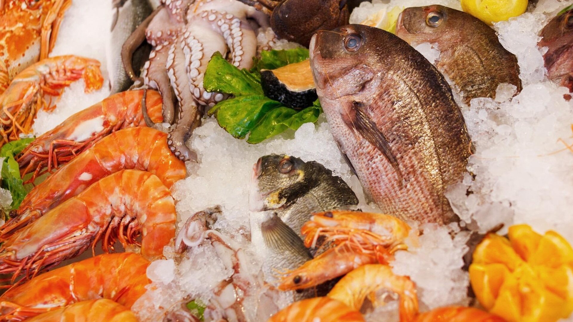 East Coast Fresh Fish Pop Up