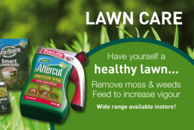 Lawn Care