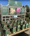 Garden Centre