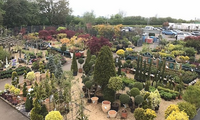 Garden Centre