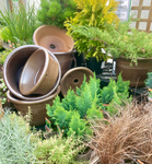 Pots and Planters