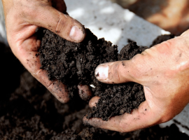 Compost & Aggregates