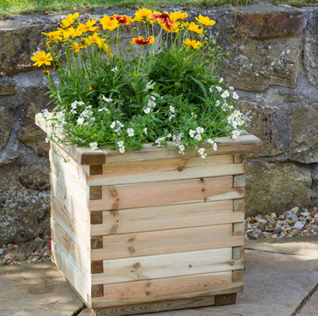 Isabel Planter