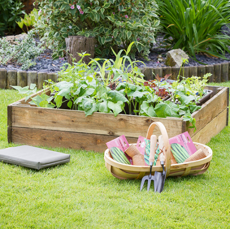 Raised Bed