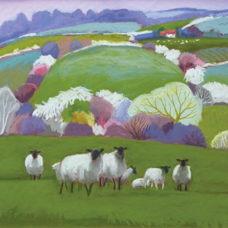 A Group of Shropshires