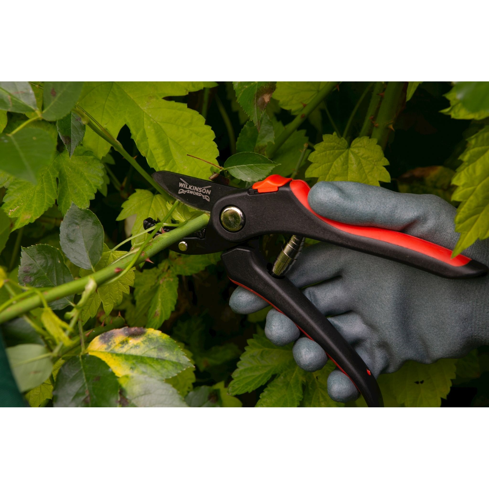 Anvil Pruners Metal Welland Vale Garden Inspirations Uppingham