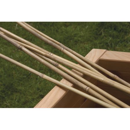Bamboo Canes 3' 0.9m