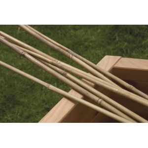Bamboo Canes 8'  2.4m