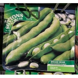 Bean (Broad) Seeds - Giant Exhibition Longpod