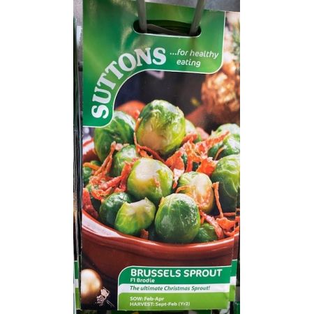 Brussels Sprout Seeds - Brodie F1