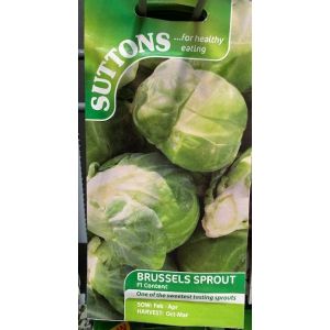 Brussels Sprouts Content