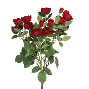 Bunch 44cm - Red Rose