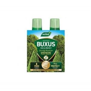 Buxus Feed & Protect 2in1 -2x500ml