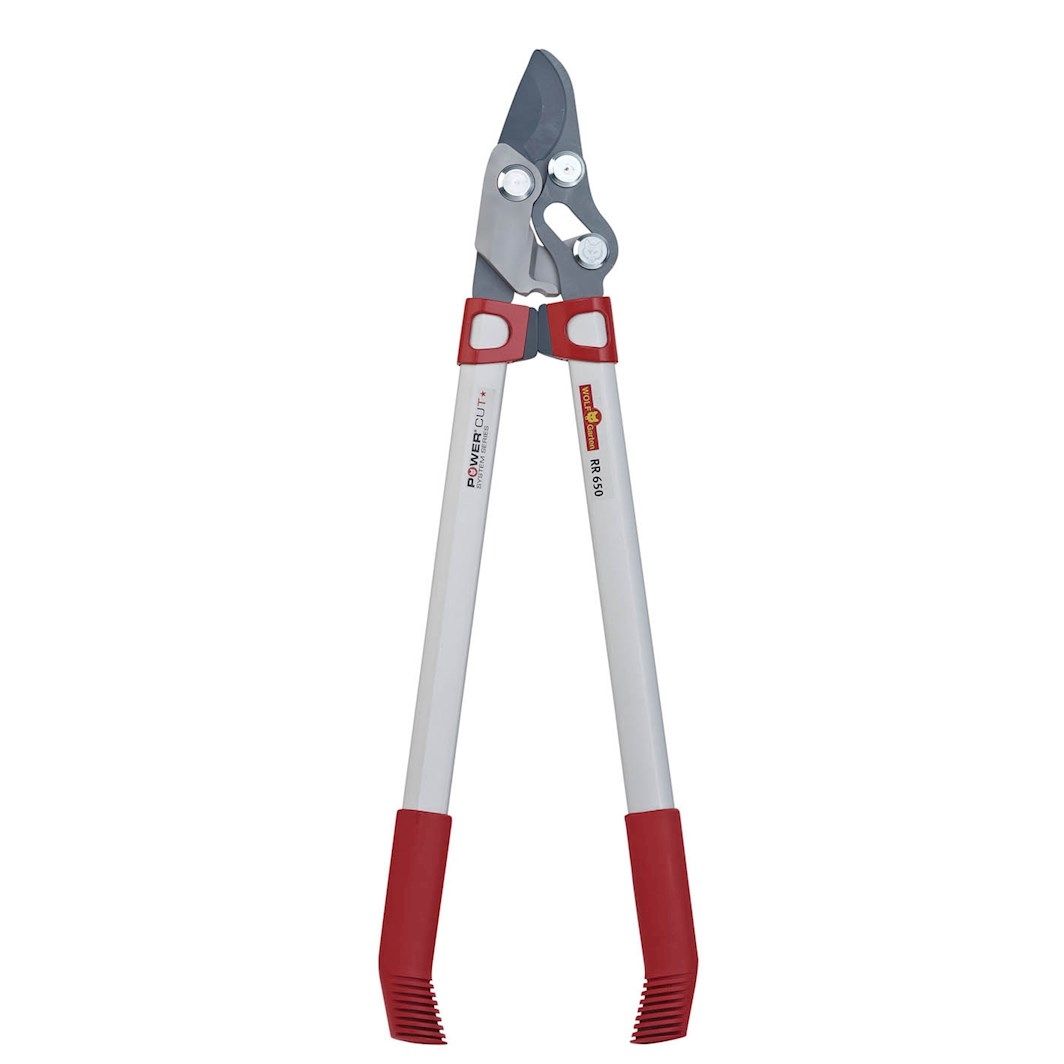 Bypass Lopper Power Cut RR650 Welland Vale Garden Inspirations