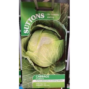 Cabbage Seeds - Cabbice F1