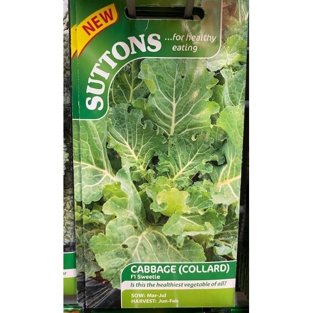Cabbage / Collard F1 Sweetie Welland Vale Garden Inspirations