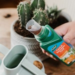 Cacti & Succulent Feed Concentrate