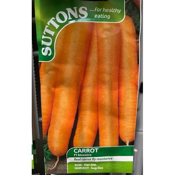 Carrot Seed maestro F1 Welland Vale Garden Inspirations Uppingham