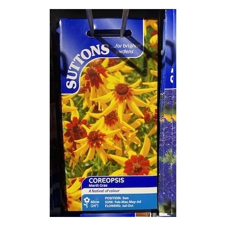 coreopsis mardi gras height