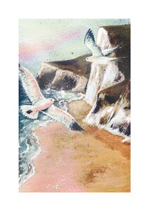 Gulls, Cliffs & Sea