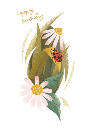 Ladybird & Flowers Hb