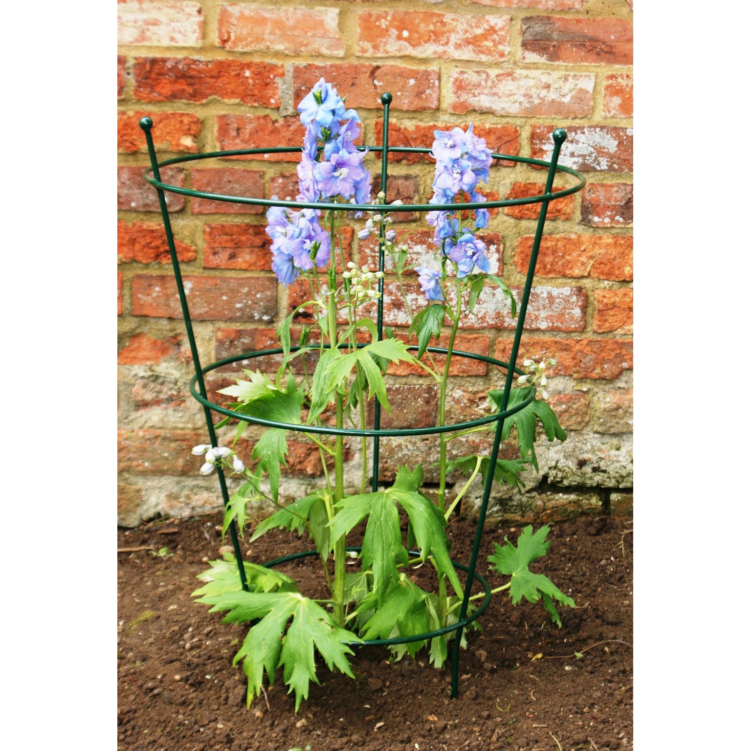 Large Peony Support Green Welland Vale Garden Inspirations Uppingham