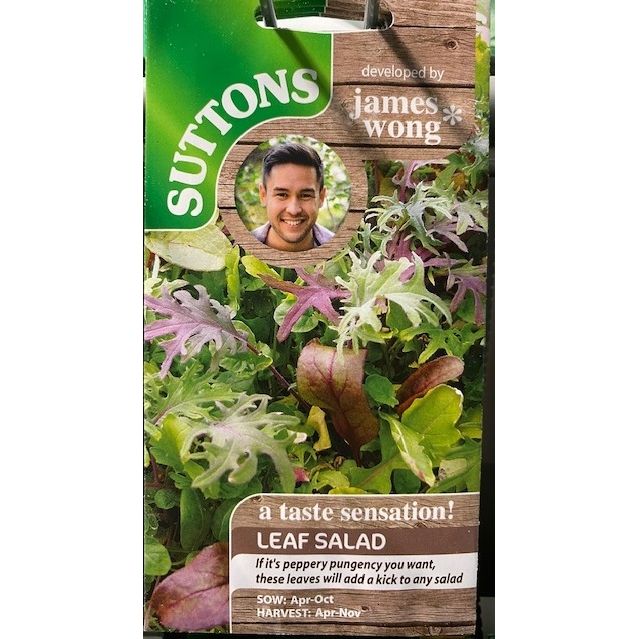 Salad Leaves Seeds Full On & Fiery Welland Vale Garden Inspirations