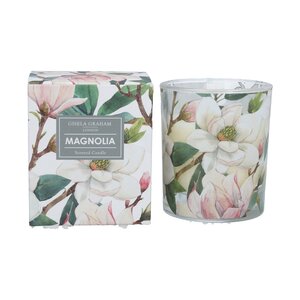 Magnolia Boxed Scented Candle Pot