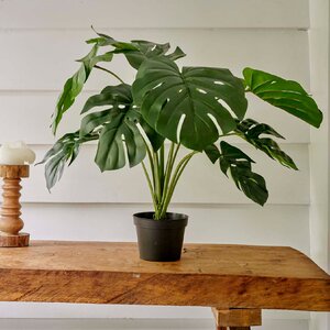 Monstera in pot polyester - image 3