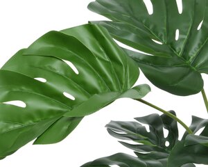 Monstera in pot polyester - image 2