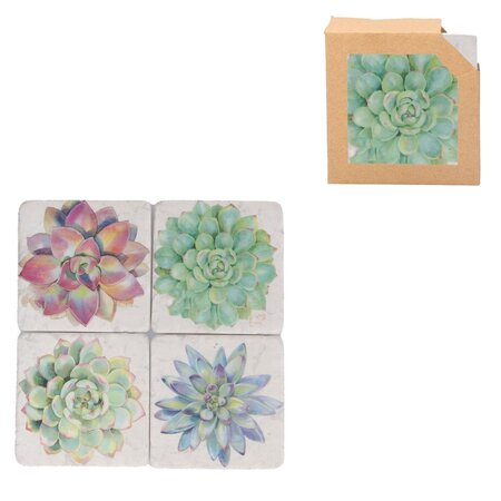 Pack/4 Resin Coasters - Succulents