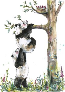 Pandas, Tree & Cake
