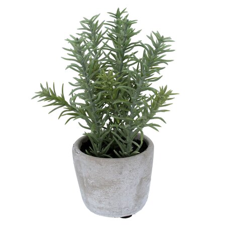 Potted Plant 17cm - Faux Rosemary in Mini Stone Effect Pot