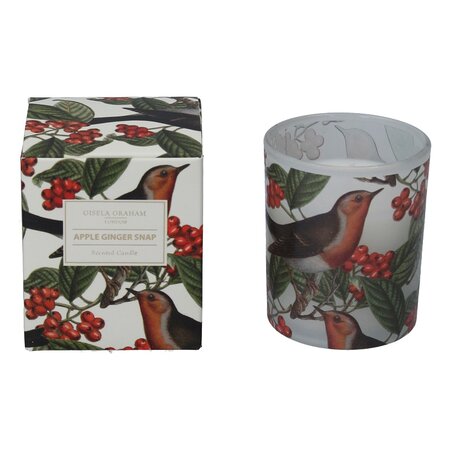 Robin Berry Boxed Candle Pot