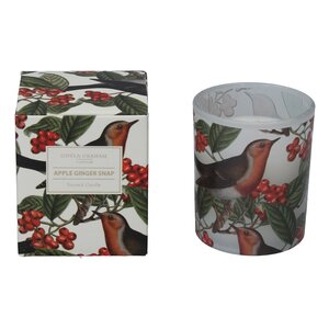 Robin Berry Boxed Candle Pot