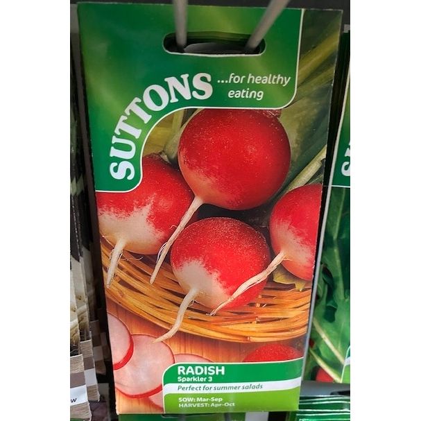 Radish Seeds Sparkler 3 Welland Vale Garden Inspirations Uppingham