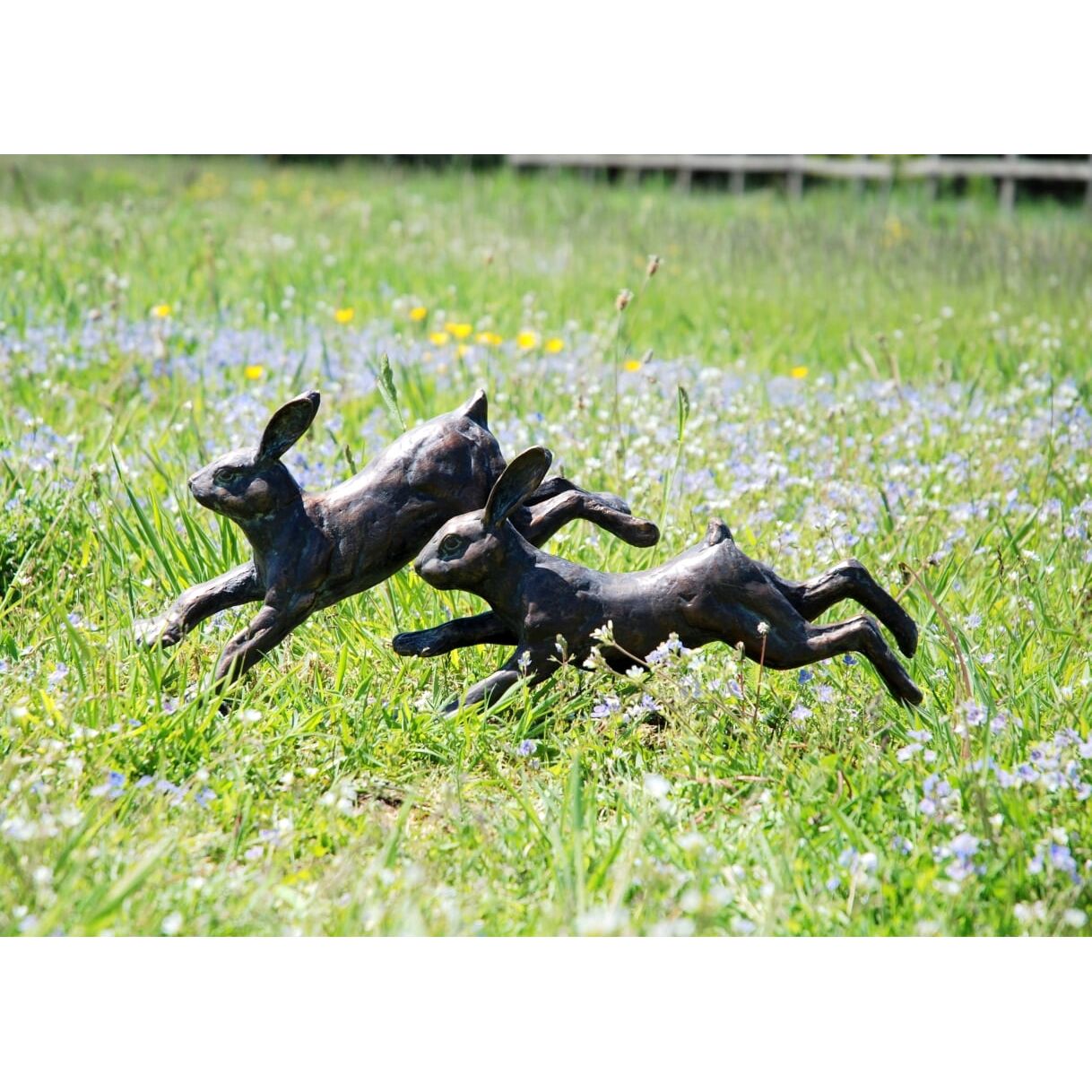 Running Rabbits Welland Vale Garden Inspirations Uppingham