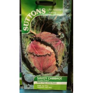 Cabbage Seeds - January King 3