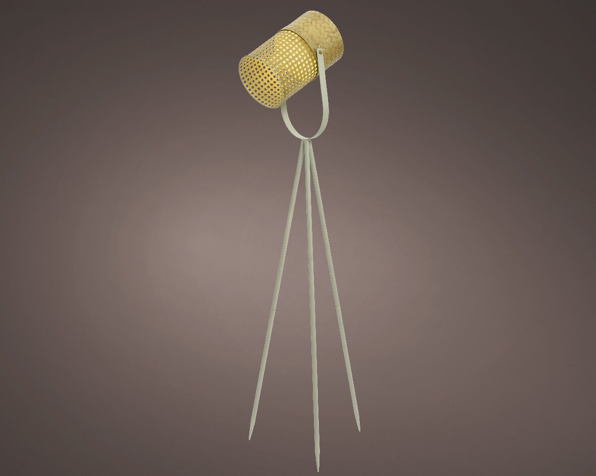 Solar spotlight metal steady Welland Vale Garden Inspirations Uppingham