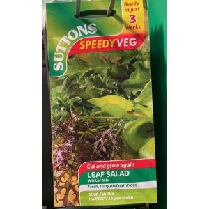 Speedy Veg Seed - Leaf Salad Winter Mix