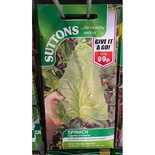 Spinach Seeds Gigante d'Inverno Welland Vale Garden Inspirations
