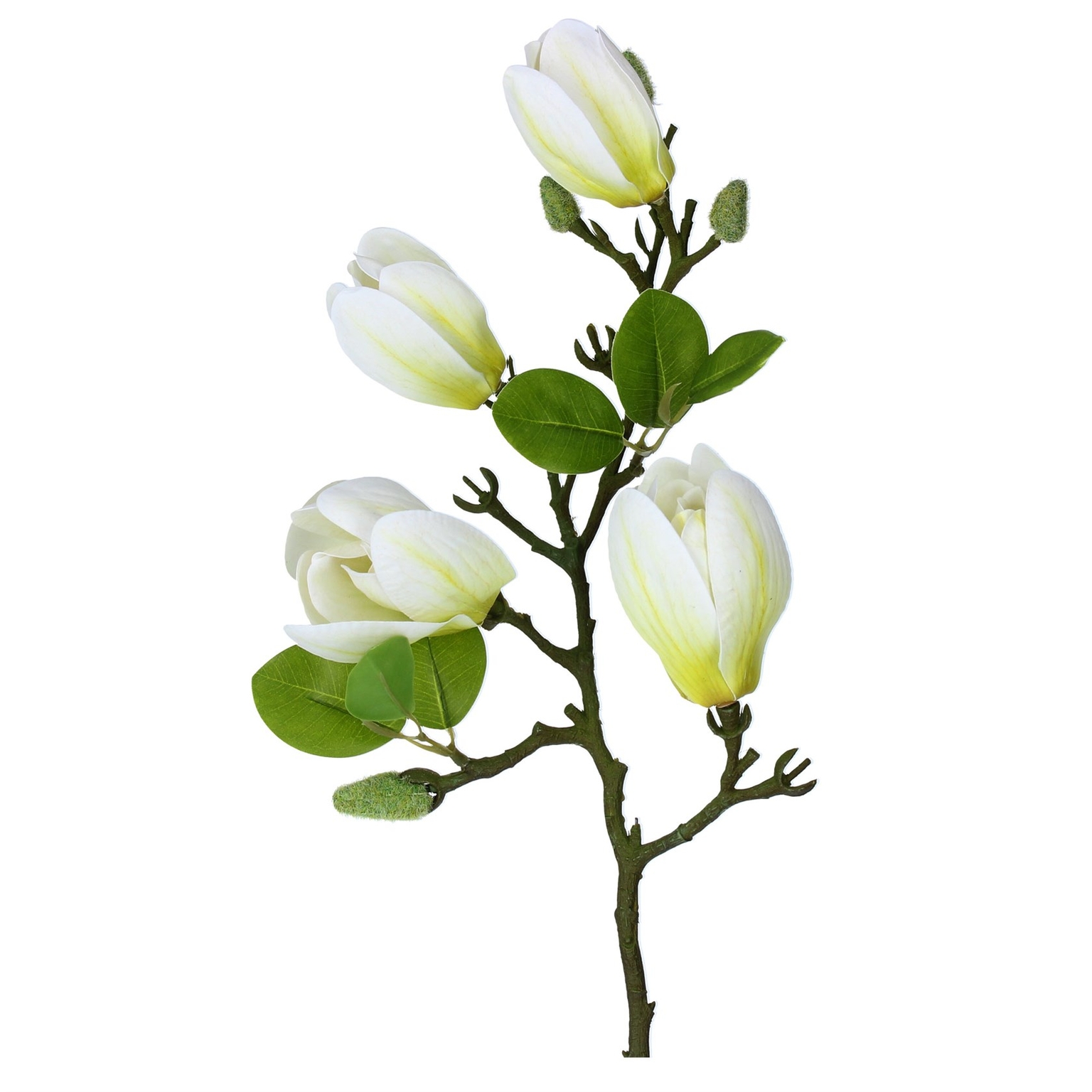 Spray 67cm Magnolia Branch/White Welland Vale Garden Inspirations