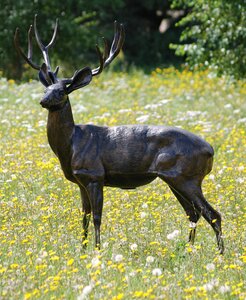 Standing Stag