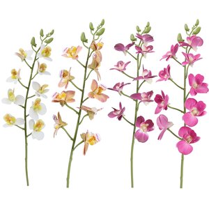 Stem 55cm - Mini Orchid, 4as