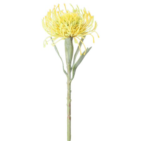 Stem 59cm - Needle Protea/Yellow