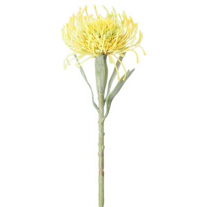 Stem 59cm - Needle Protea/Yellow