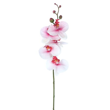 Stem 83cm - White with Pink Orchid