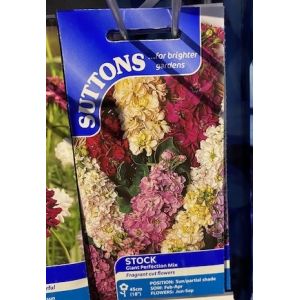 Stock Seeds - Giant Perfection Mix