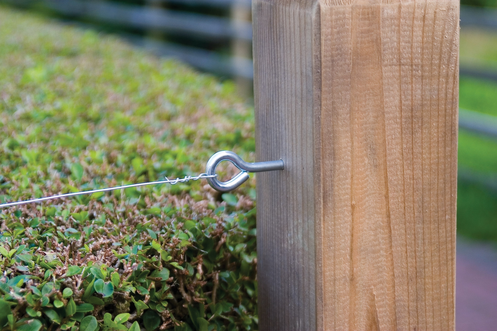 Straining Bolts Silver Pack of 4 Welland Vale Garden Inspirations